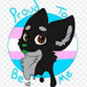 Meet your Posher, Dakota